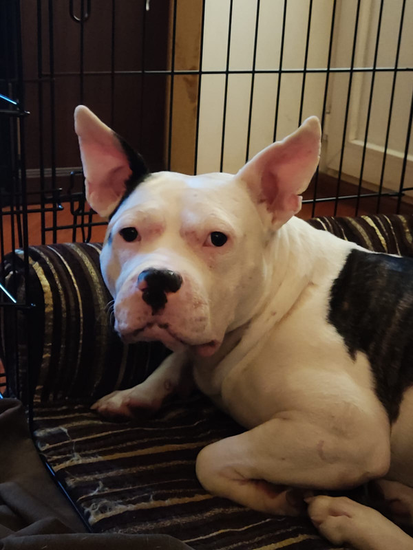 883DC116-9EEE-427B-B5D8-A3F3788EEF55