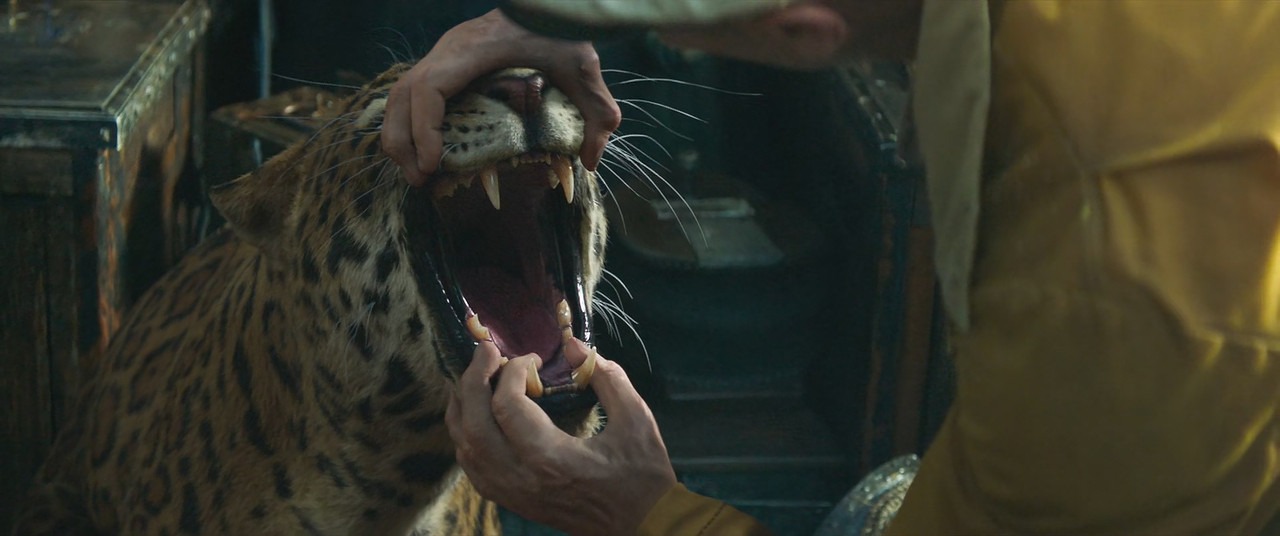 [HR] Jungle Cruise (2021) [9DAB4B2B]_11