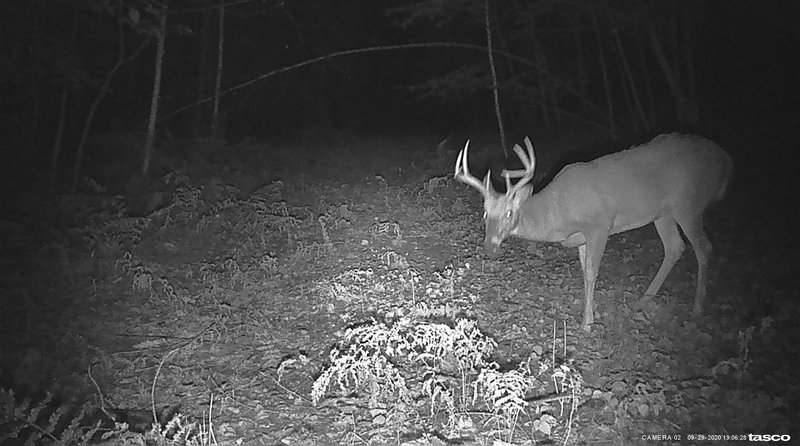 8F95A0C6-4E7E-428B-A106-3F557D8EBF8B