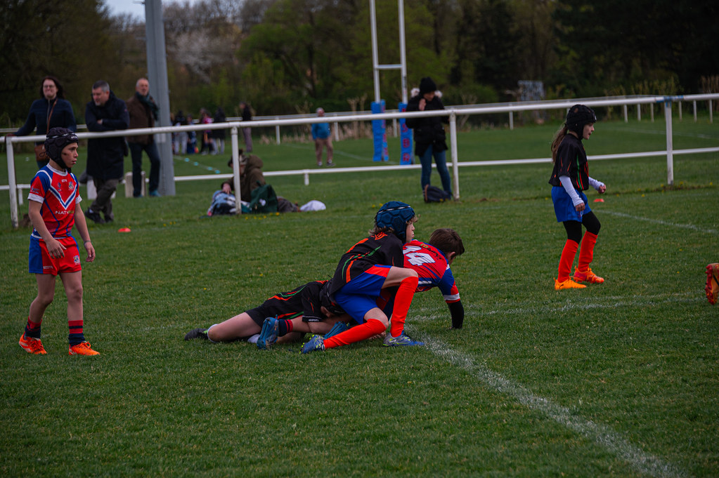 tournoi-de-latlantique-2026-adonis-griffon-219-55181544039-l