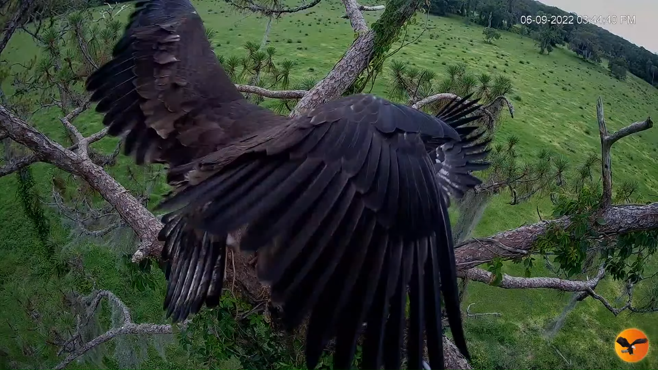 EC 4K Overhead Cam 10-41-55 screenshot