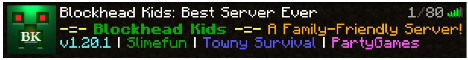 server banner