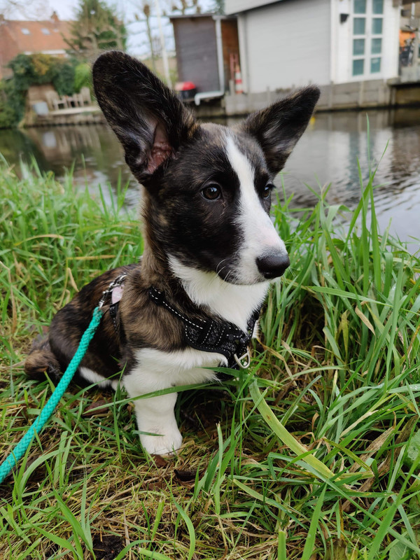 received_722353458657659