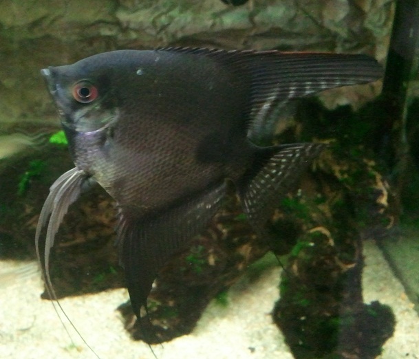 20120511-134449.jpg