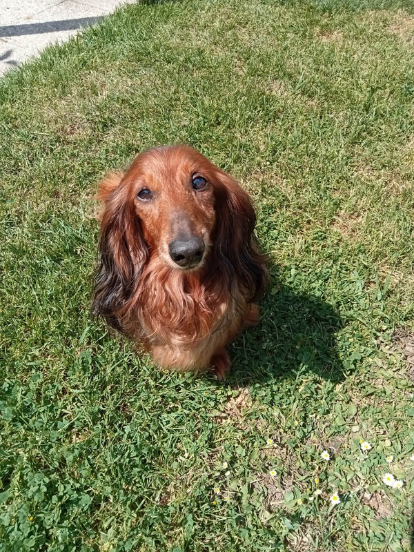 [Image: IMG-20250525-215037.jpg]