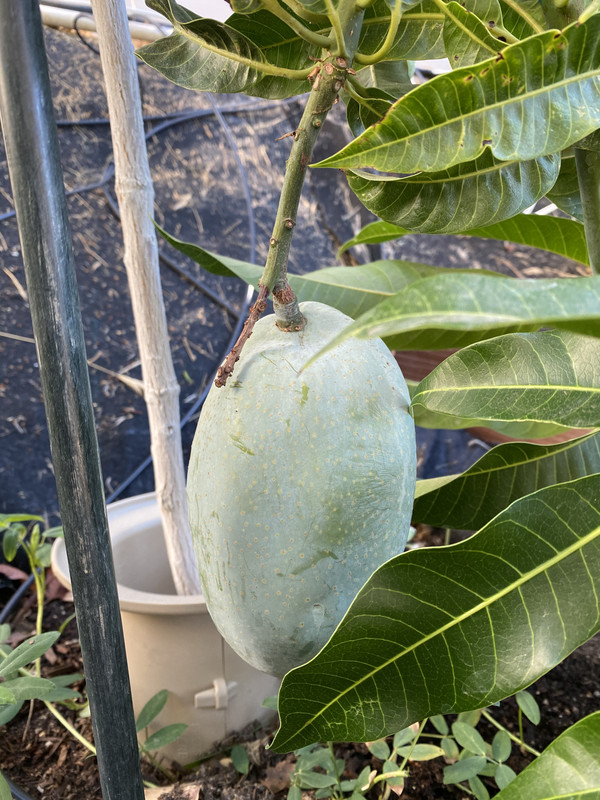 1F0946DE-2C94-4565-809F-1F513C19E1C1