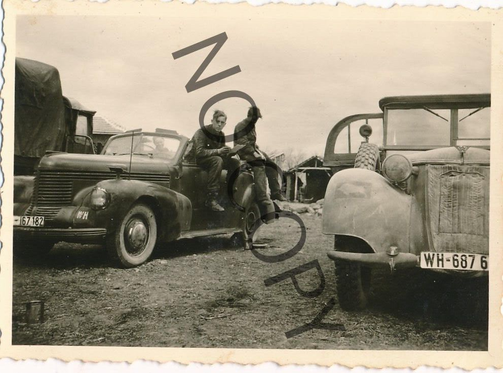 Rumänien Scorteni - Stug. 191 Bison - KFZ Wappen Bison