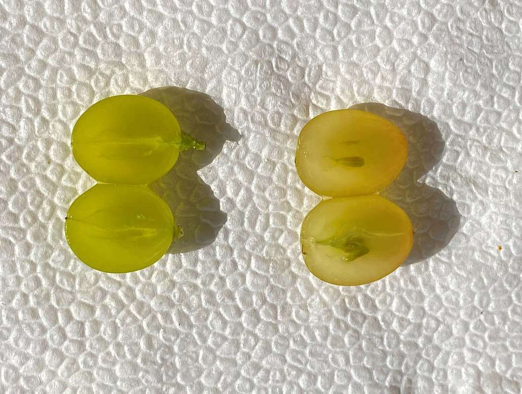 F745BCDB-98D3-4121-B70B-A762923B56F9