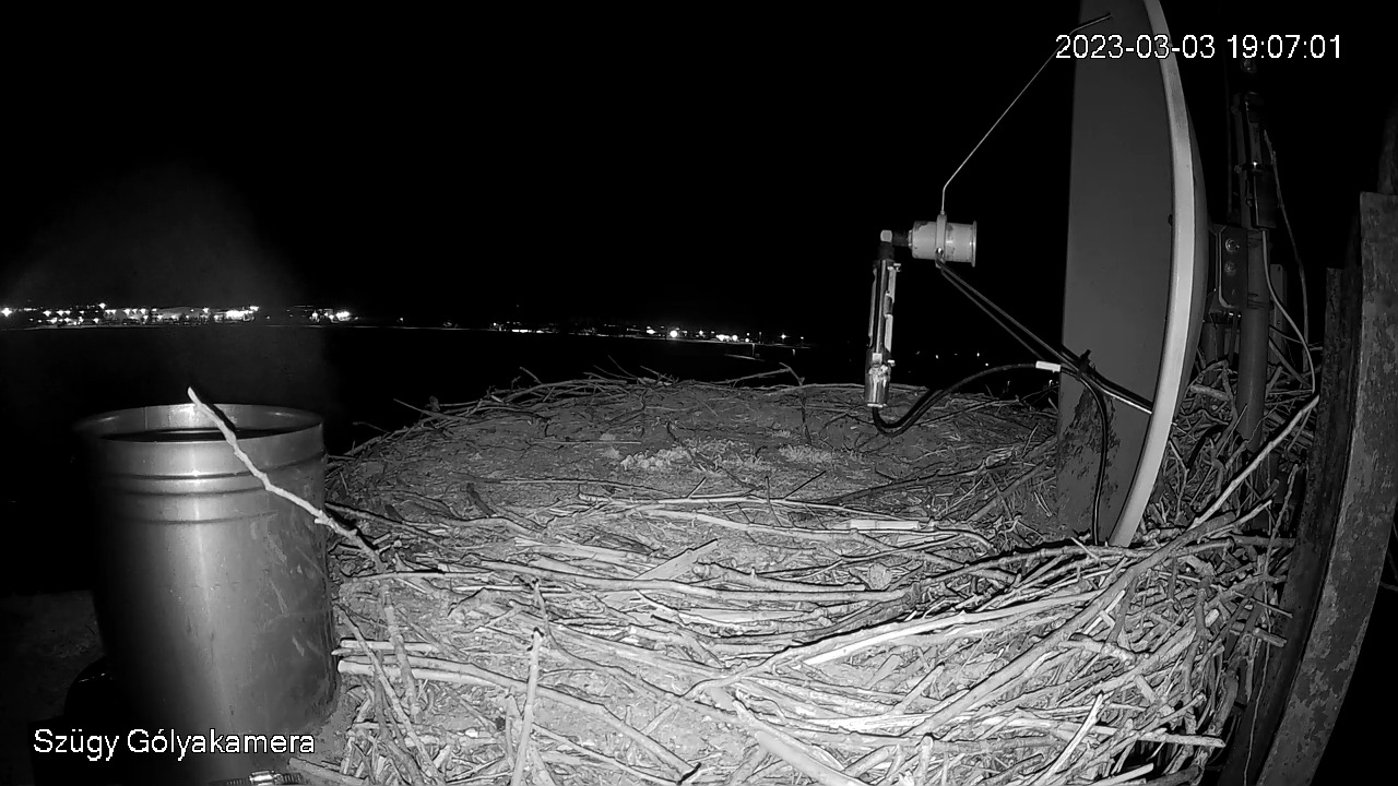 SnapShot-20230303_190632