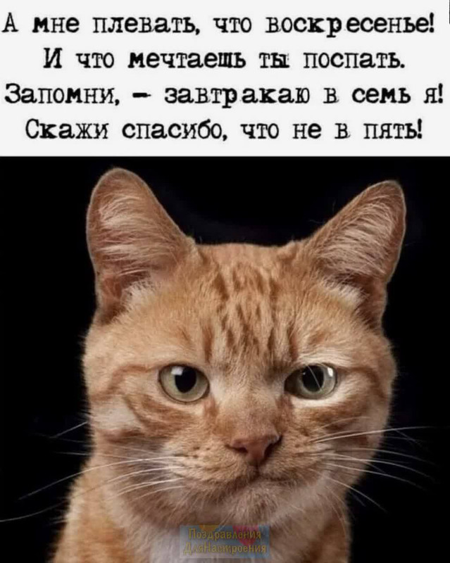 05524A76-0E85-42F8-BFBC-33F1F6F8F10A