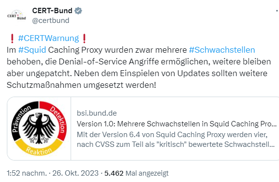Squid Caching Proxy-Schwachstellen