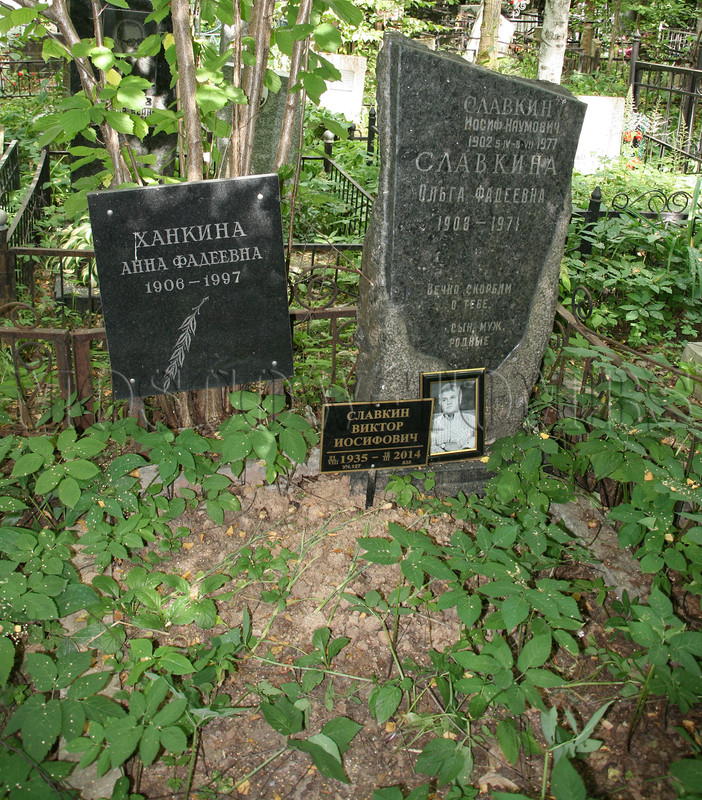 slavkin-vi-old