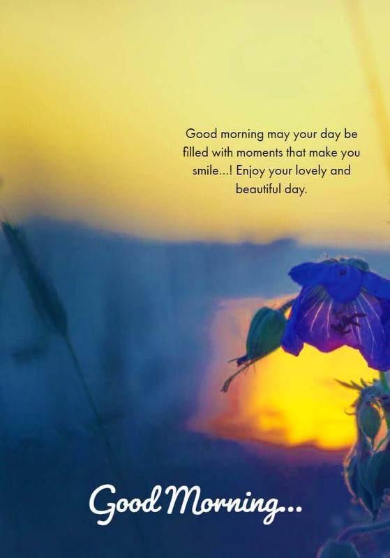Have a Beautiful Day Good Day pictures, Good Day images, Good Day graphics, Good Day scraps, comments, Pics, Fotos, Photos, Facebook, Whatsapp, Instagram, Myspace, Hi5, Friendster and more day graphics