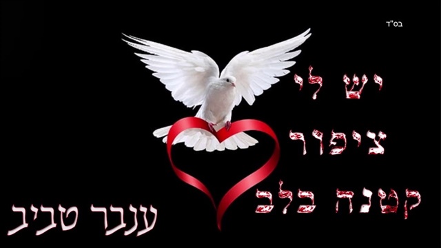 תמונה