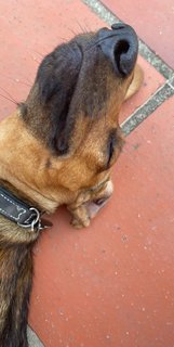 [Image: FE757-BE7-ED00-4338-B591-E949-D1-CC85-B2.jpg]