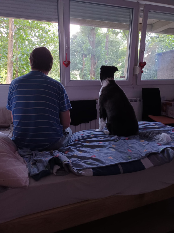 565177090-3083395718501845-740196511996151649-n