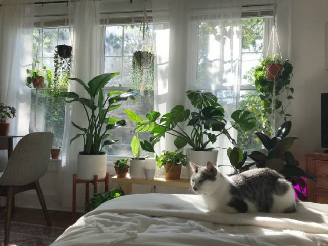 Cozy-9