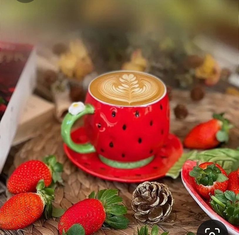 Screenshot_20230312_012314_Pinterest