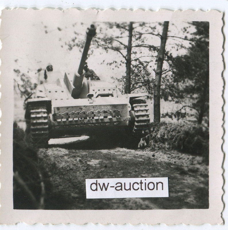 Sturmgeschütz Langrohr in Wald