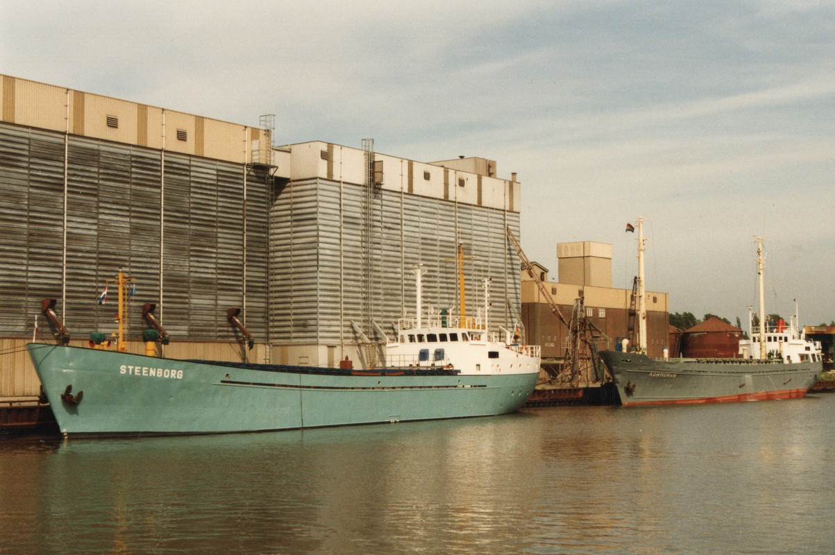 KORMORAN en STEENBORG @ Groningen 18061996 Johannes Leo (2)