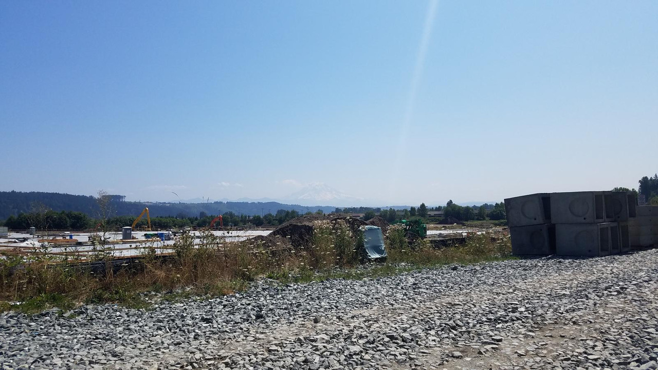 20190804_130816(0)