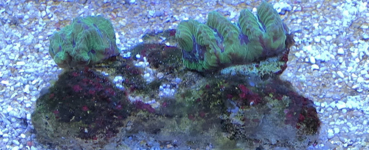 E24A379C-841A-4E24-9127-A5BEFE090366