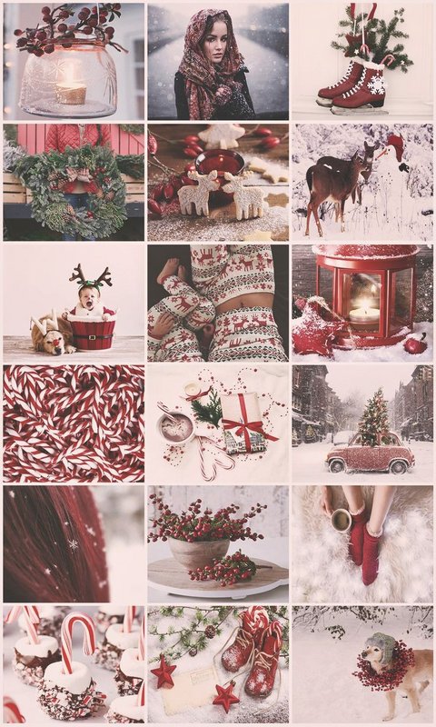 e5b53e0b0e12486a30ea11485690e386