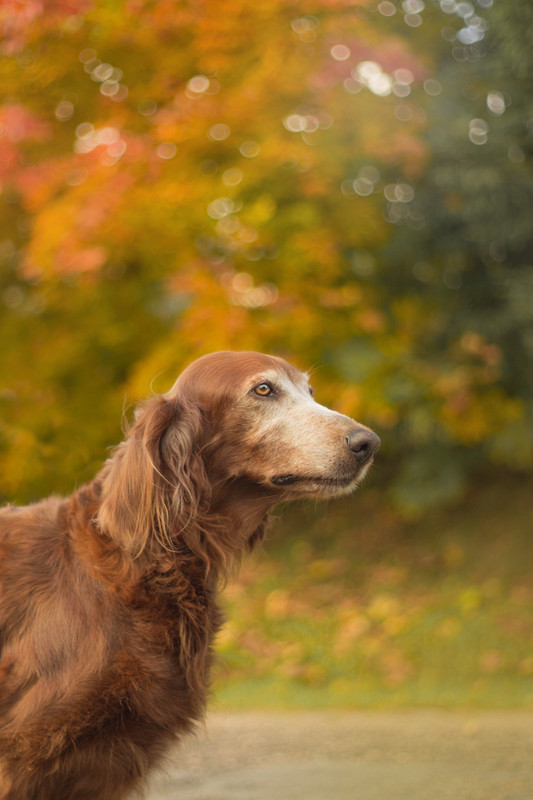 6C6CC9CA-80E1-4391-9C5F-0A877EB6267C