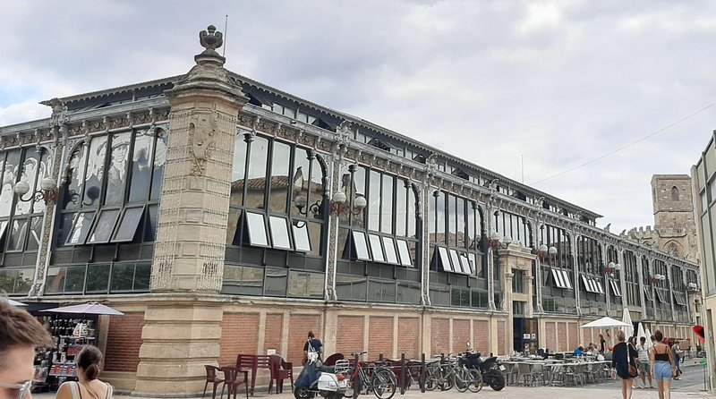 Dia 9 y 10. Toulouse. Narbona - Occitania: 9 días recorriendo los pueblos más emblemáticos. (12)