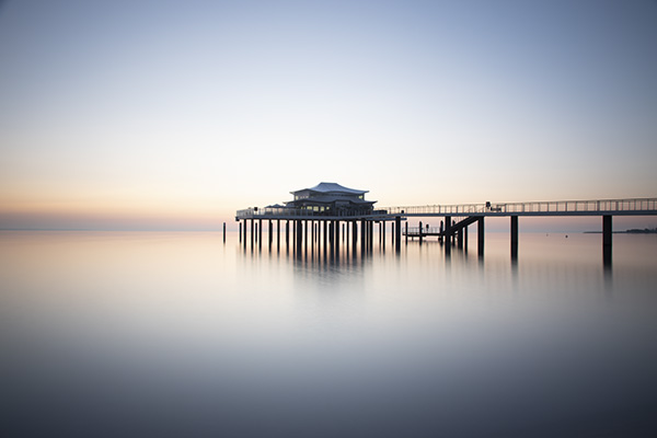 IMAGE: https://i.postimg.cc/sfNxWgm7/DSC-0144-Dx-O.jpg