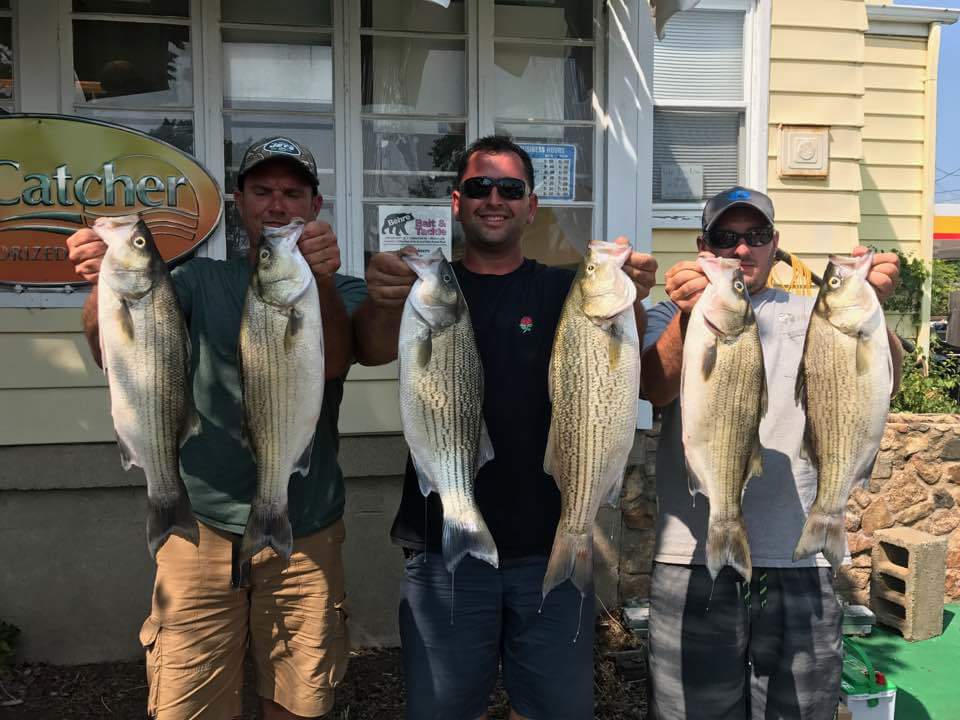 20882771_1743035175724277_6945528424596564753_n