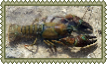 stamp-(5).png