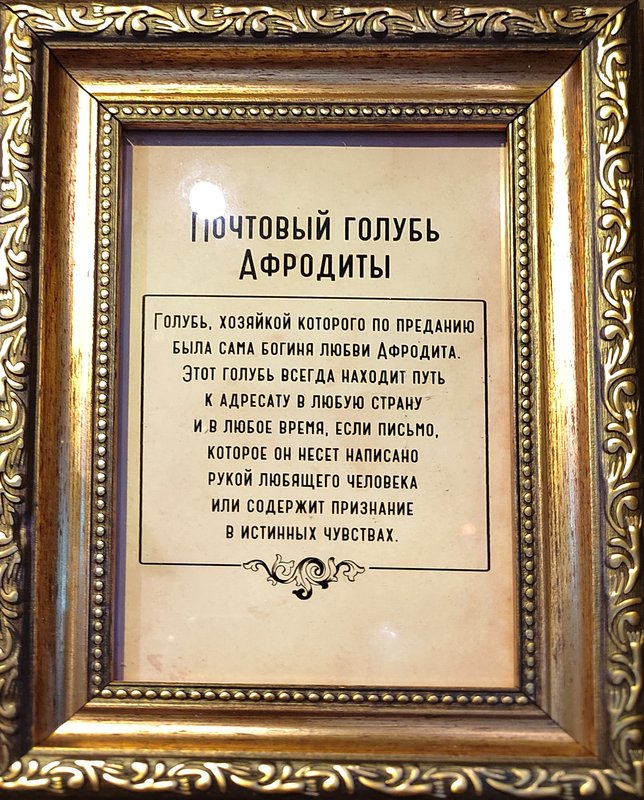https://i.postimg.cc/sfP92h3w/118-IMG-20250128-150131.jpg
