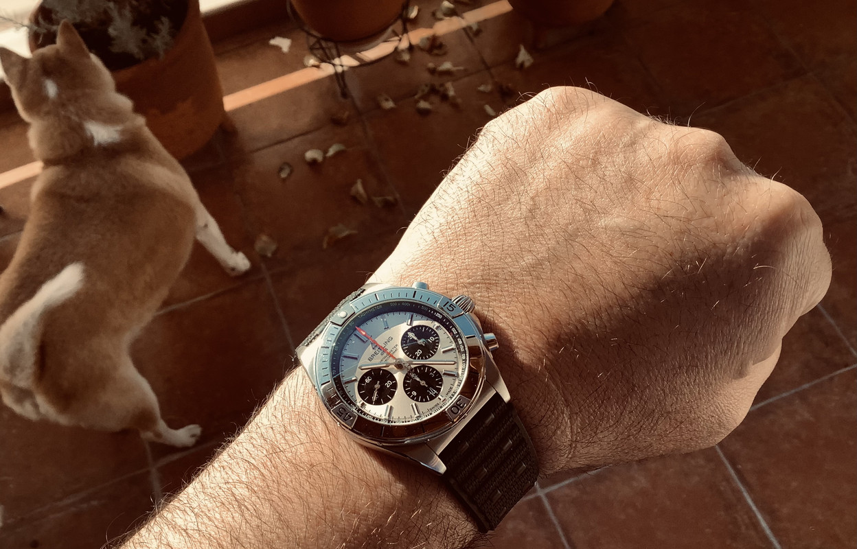 7CA95993-FD42-48AB-950A-28B79B18E983