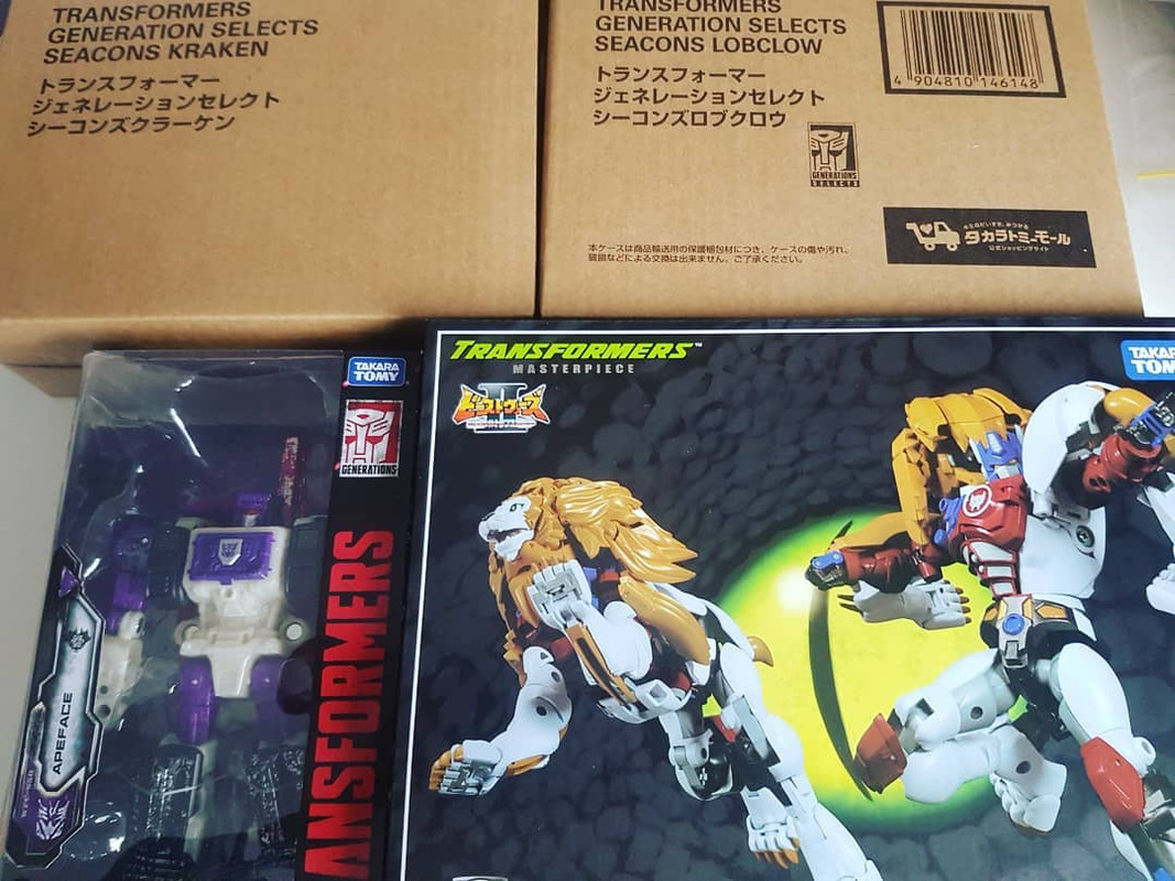 88036138_3449129635101571_8641595313334779904_o