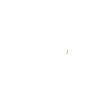 Logo Preuniversitario PAES M1