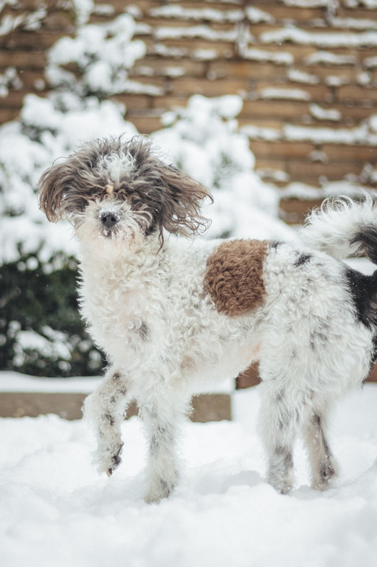 E33AA01B-8E3C-4737-A15B-4BCBBDD9002F