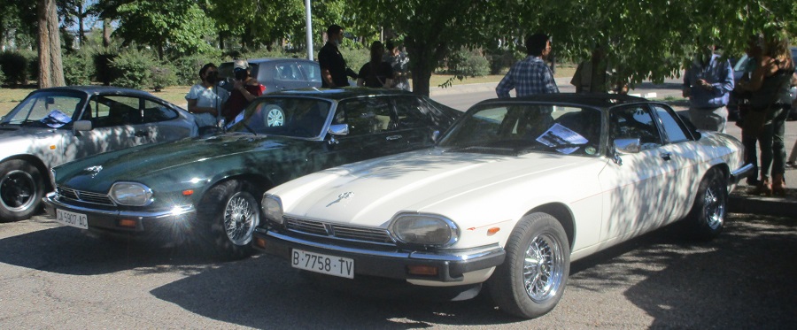 CLASSIC MOTOR SHOW Alcalá de Henares 2ºs domingos de mes - Página 9 Dehesa0921-19