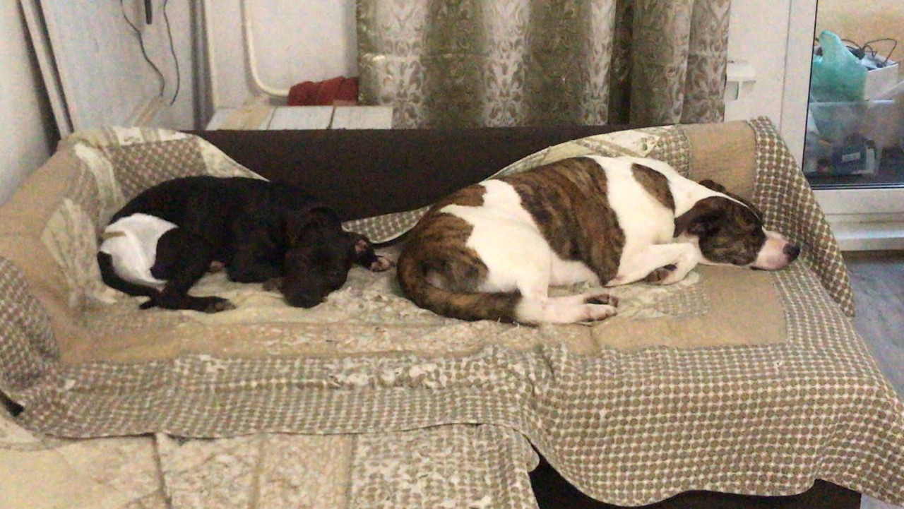 7857CCF7-A85D-40A0-8551-4A0054C1A55F