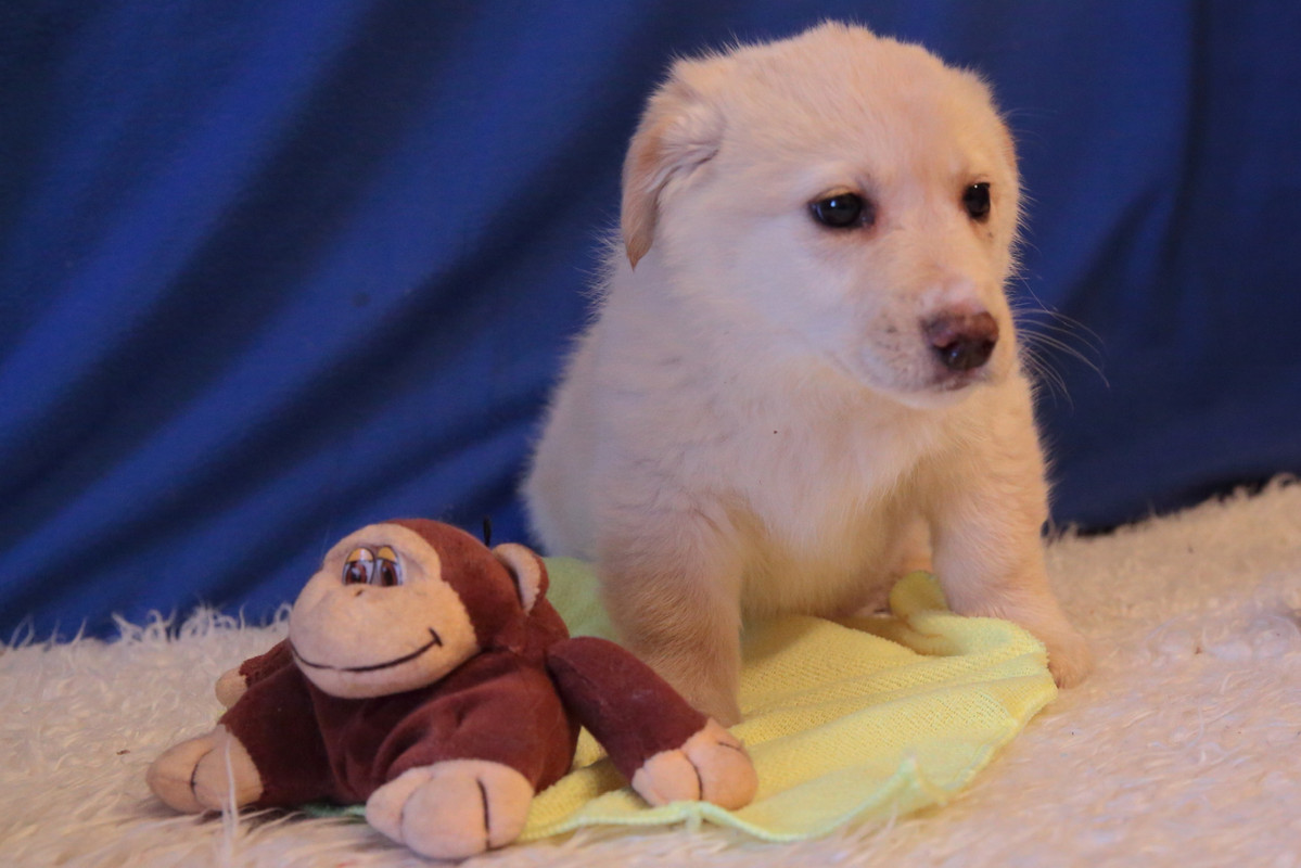 B4A114DA-B0C5-4C7D-B0D6-A68C27248CB4