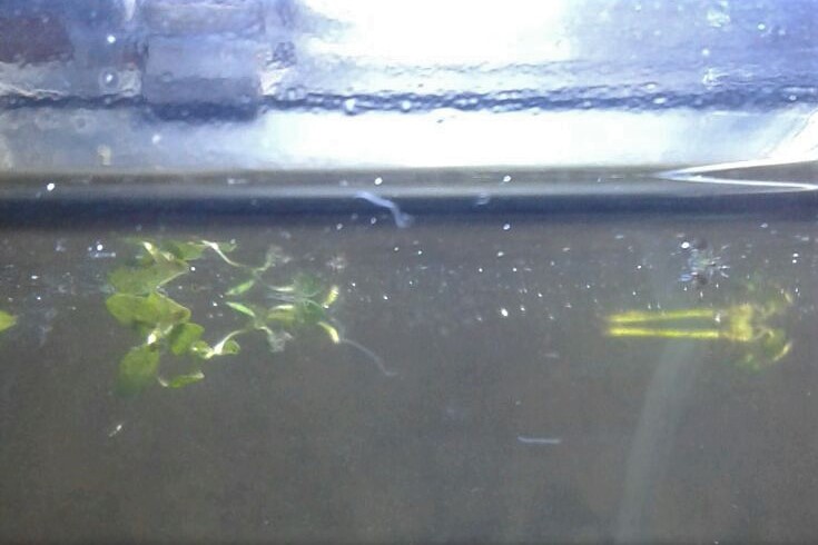 WhatsApp Image 2017-04-10 at 11.56.36