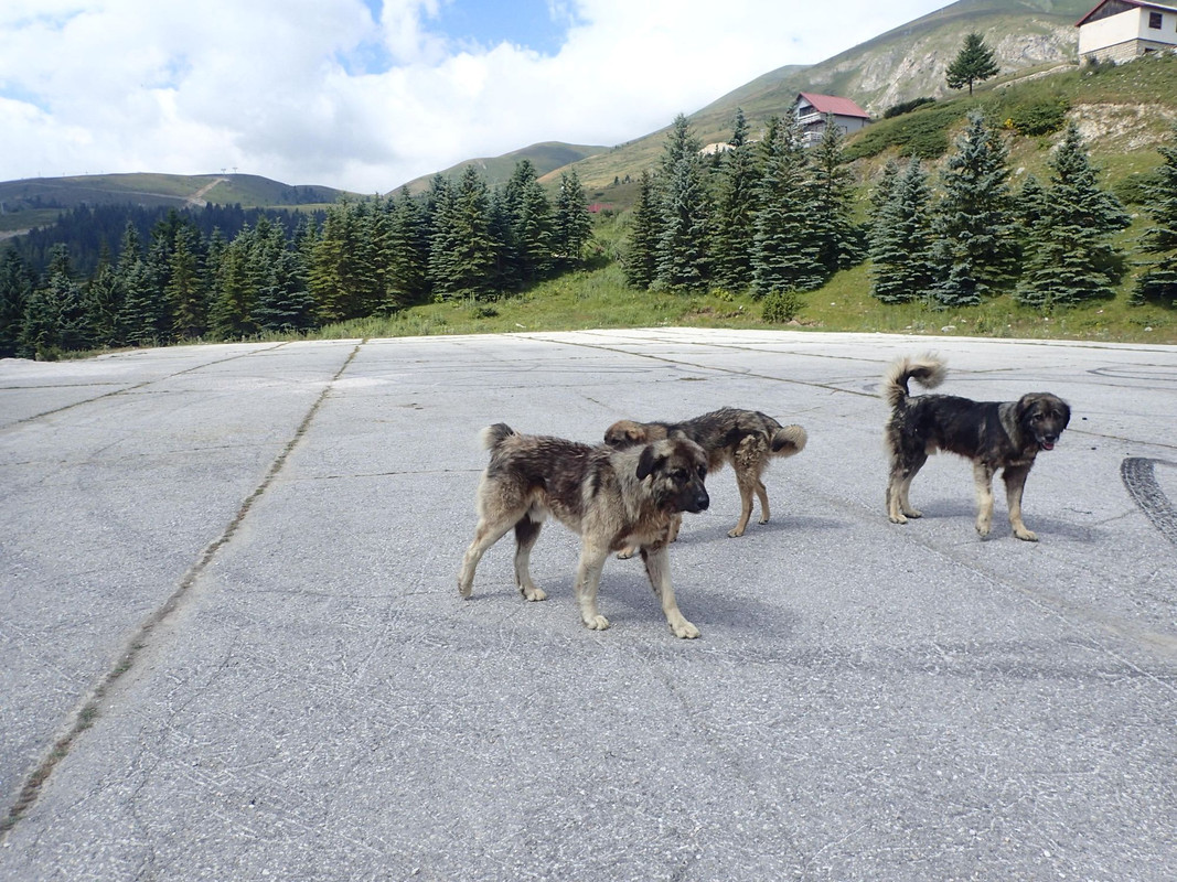 2019_0804BAŁKANY0749