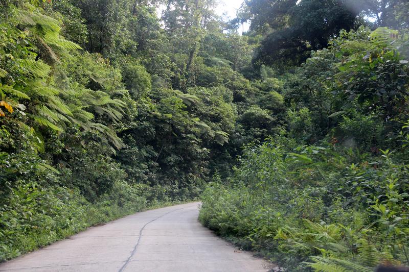 DIA 10: RIO CELESTE - DE TORTUGAS Y PEREZOSOS. COSTA RICA 2019 (52)