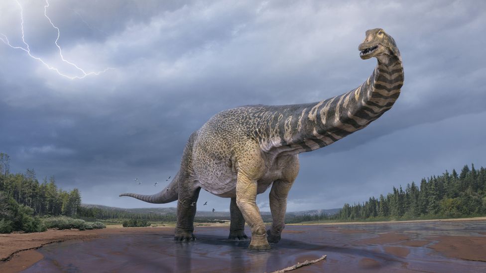 [Image: 118837665-118836925-australotitan-1.jpg]