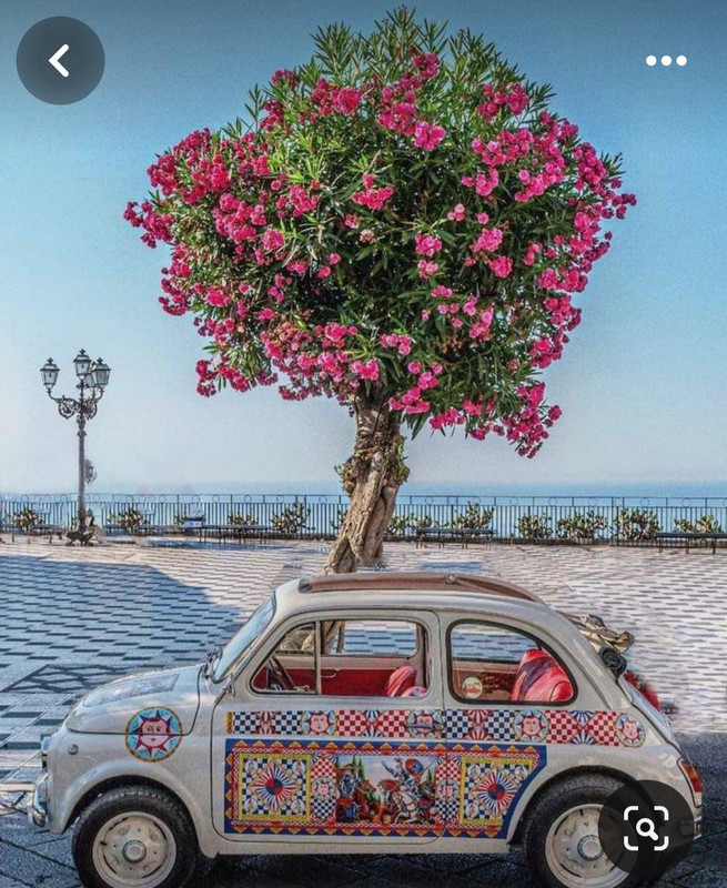 Screenshot_20240501_202426_Pinterest