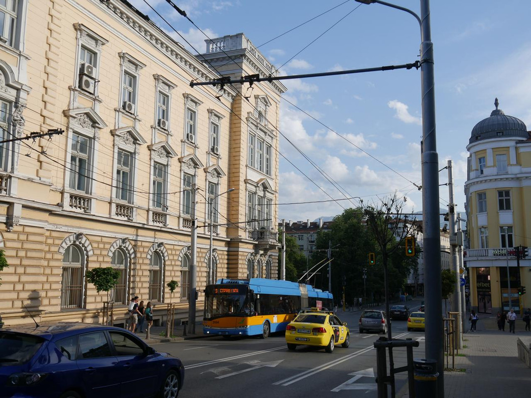 P1170575.jpg