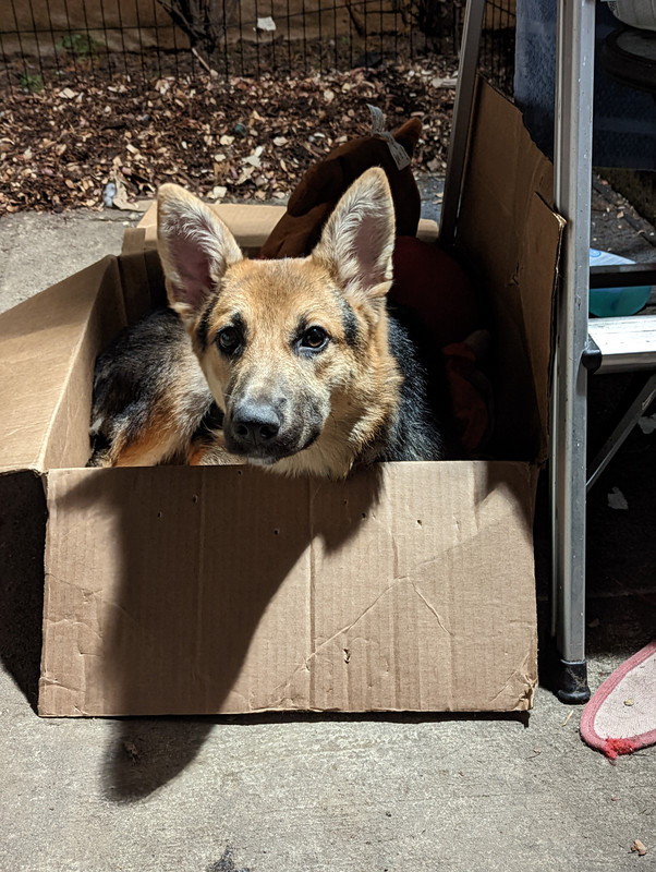 PXL_20220914_084553519