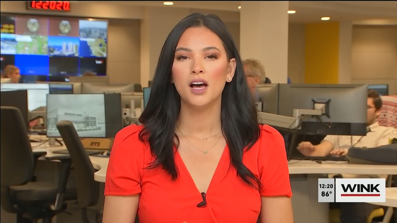 11.01 - 16.00.00 - The WINK Noon News  ᴺᵉʷ. Midday news update..ts_snapshot_26.28.336