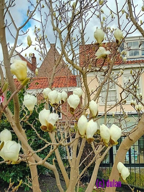 [Image: IMG_20250321_014632.jpg]