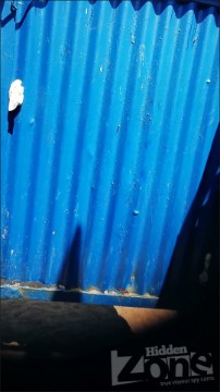 [Image: Voyeur8585074449.jpg]